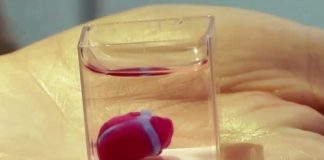 3D 프린터로 인간의 ‘심장·간’ 출력 성공