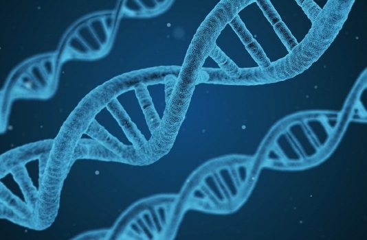 영국 첫 MLD 아이 ‘유전자 치료’ 성공