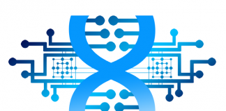 900 제곱근 연산 가능한 ‘DNA 컴퓨터’ 등장