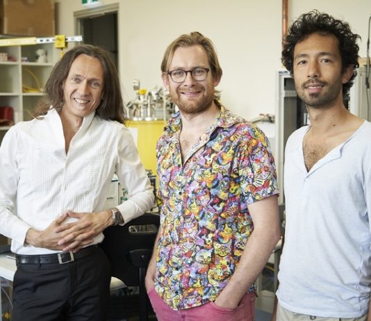 “양자컴퓨터 혁신할 ‘핵전기공명’은 우연히 발견”