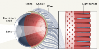 사람 눈을 능가하는 ‘인공눈’ 개발 중