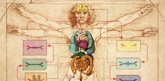 ‘장기 인공칩’ 다중 결합으로 인체 전체 모방