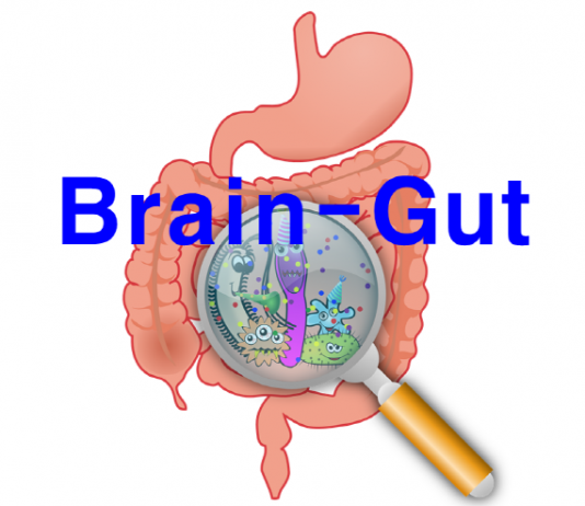 장 세균, 장-뇌 연결 뉴런에 영향…“장 운동도 제어”