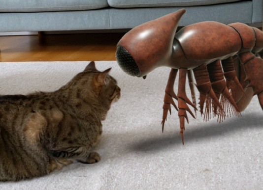 구글, AR로 고대생물과 아폴로11호 거실로 불러와