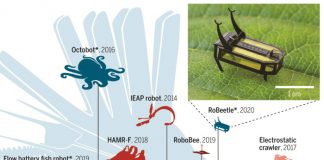 알콜로 움직이는 곤충 로봇…’에너지 밀도 배터리 10배’