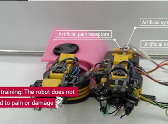 로봇이 통증을 느끼고 스스로 치료하는 ‘미니 뇌’ 개발