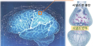 뇌 신경세포 닮은 이온-젤 시냅스 소자 구현…”뉴로모픽 칩 적용 기대”