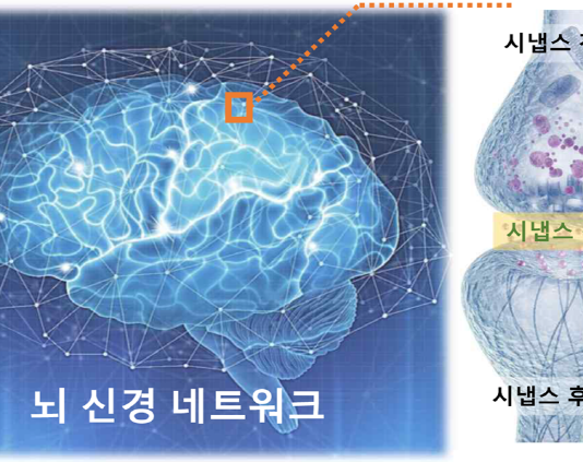 뇌 신경세포 닮은 이온-젤 시냅스 소자 구현…”뉴로모픽 칩 적용 기대”