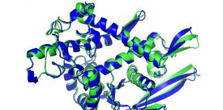 딥마인드 알파폴드, 단백질 구조 예측 난제 해결…“게임이 바뀌었다”