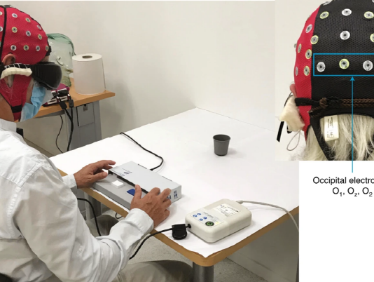 광유전학으로 시각장애인 시력 일부 회복