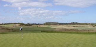 골프장 잡초 ‘새포아풀’로 그린 만든다…“후생유전학 역발상”