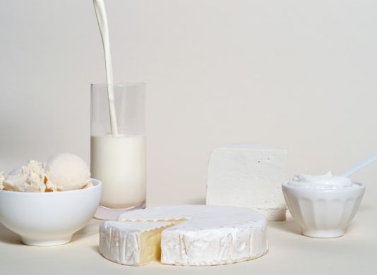 젖소 대체 유제품 제조 새싹기업 퍼펙트데이