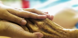 ‘노화’는 진화에 중요한 역할