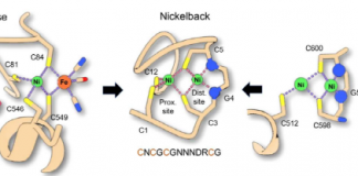 지구 생명 기원 물질 발견