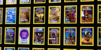 내셔널지오그래픽 기자 전원해고…내년부터 가판도 중단