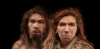 AI로 네안데르탈인 단백질 예측해 새로운 항생제 찾아내