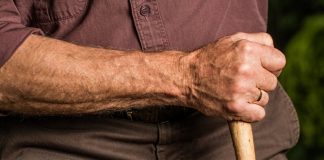 파킨슨병 원인, “미토콘드리아 DNA 손상일 수 있다”