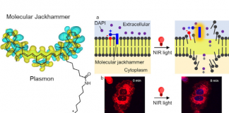 근적외선으로 암세포 99% 파괴하는 방법 발견