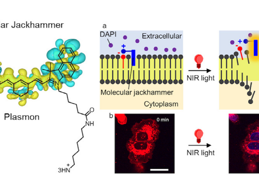 근적외선으로 암세포 99% 파괴하는 방법 발견