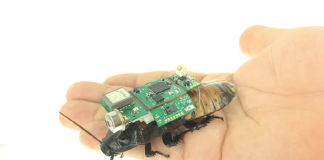 사이보그 바퀴벌레, “지진 수색·구조의 미래다”