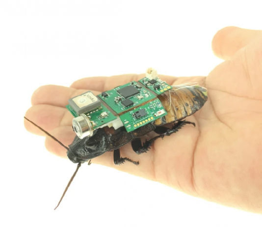 사이보그 바퀴벌레, “지진 수색·구조의 미래다”