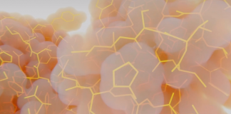 당뇨병 치료 “피부 미생물로 인슐린 자동 공급”