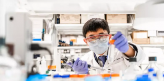 비아그라, 알츠하이머 위험 50% 이상 감소